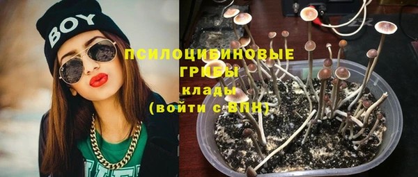 прущая мука Алзамай