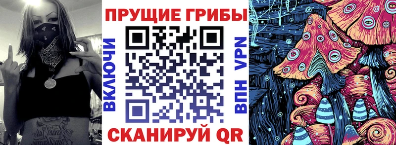 Галлюциногенные грибы прущие грибы  где можно купить наркотик  Муравленко 
